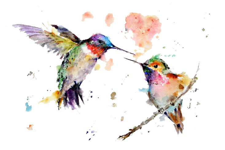 Watercolor Art Painting Drawing Hummingbird Transparent PNG Image