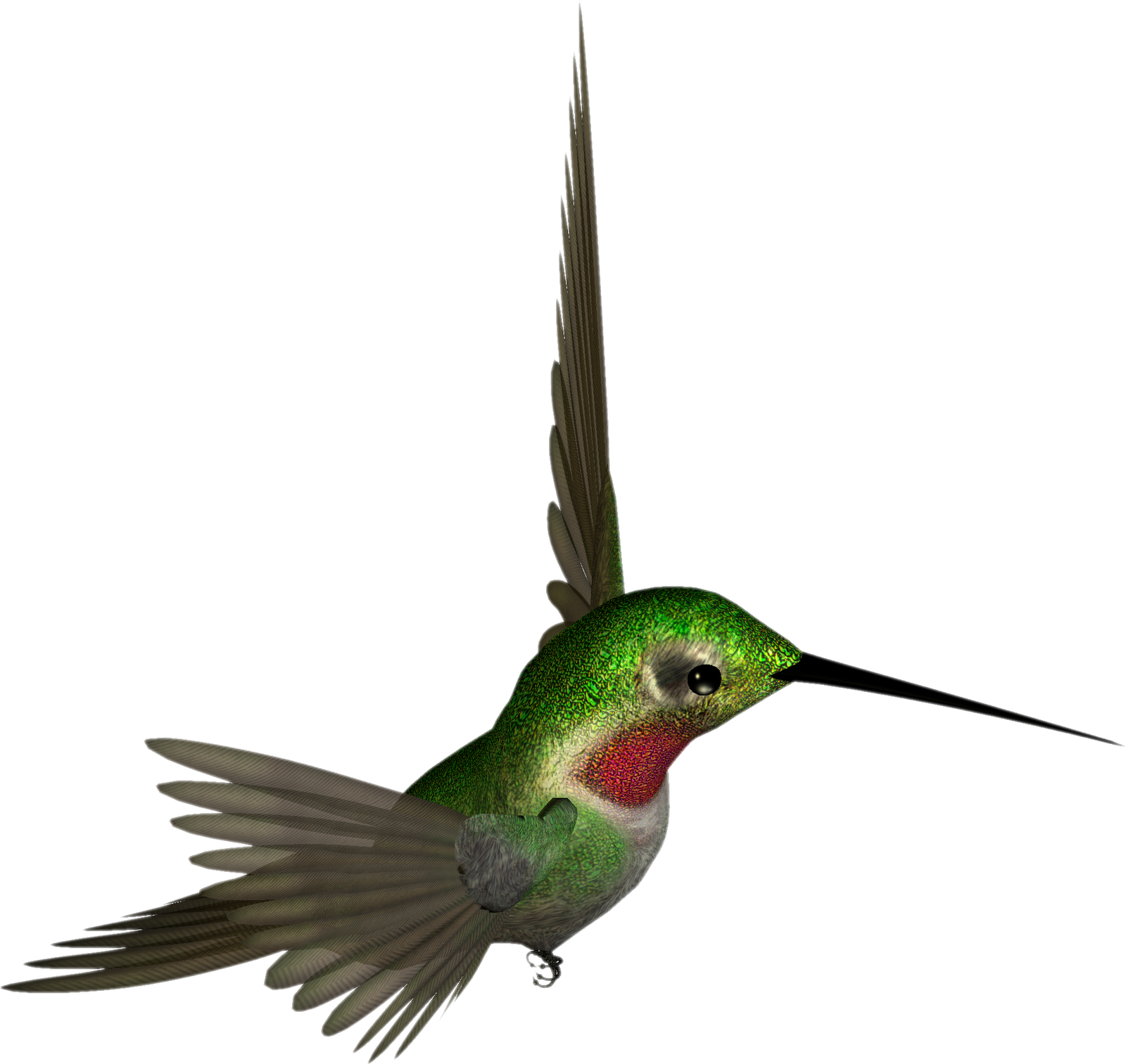 Hummingbird Transparent PNG Image