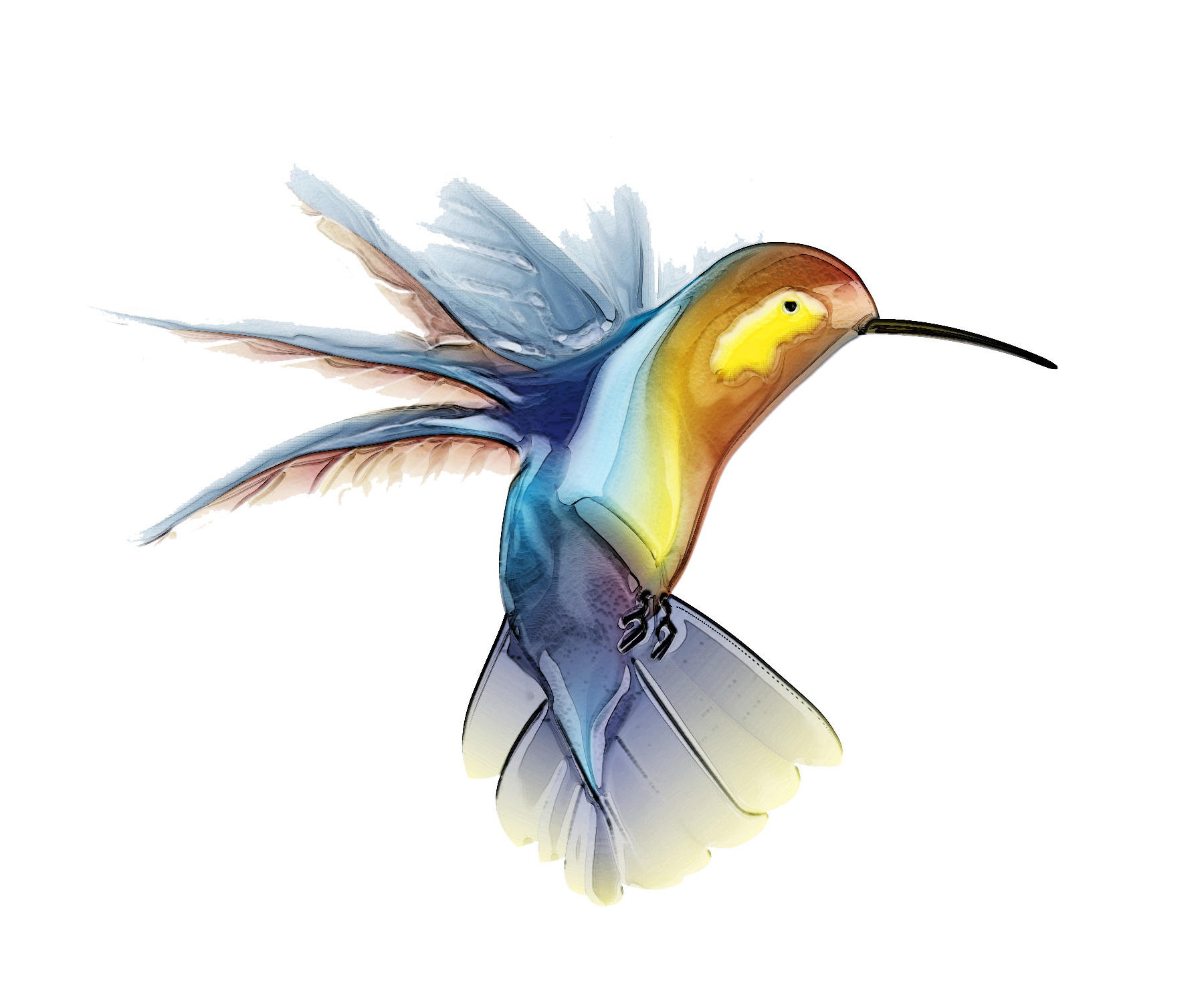Hummingbird Transparent PNG Image