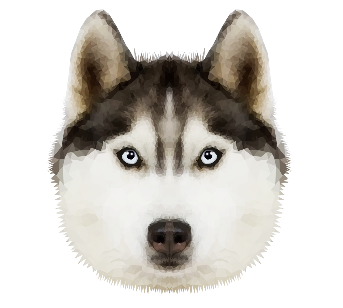 Husky Transparent PNG Image