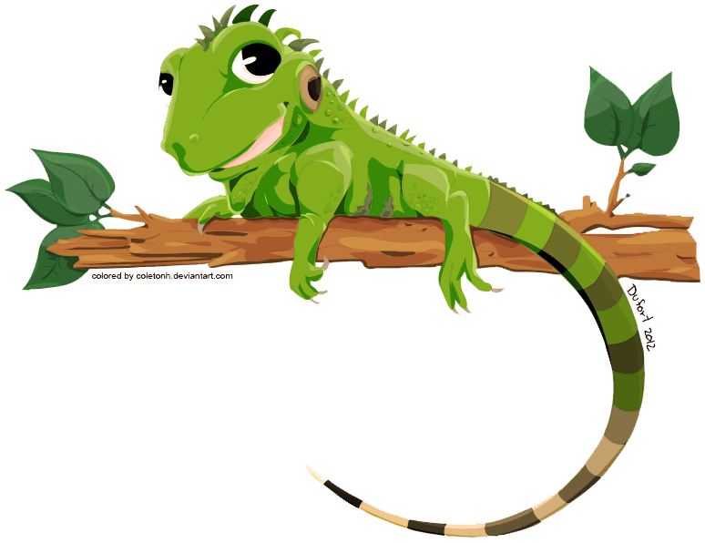Iguana Transparent PNG Image
