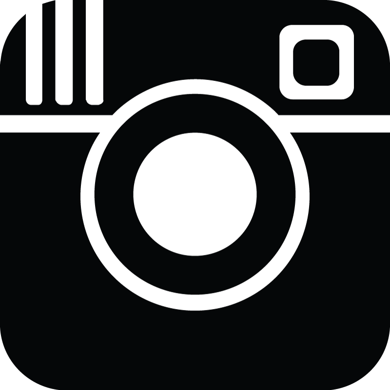 Logo Insta Transparent PNG Image
