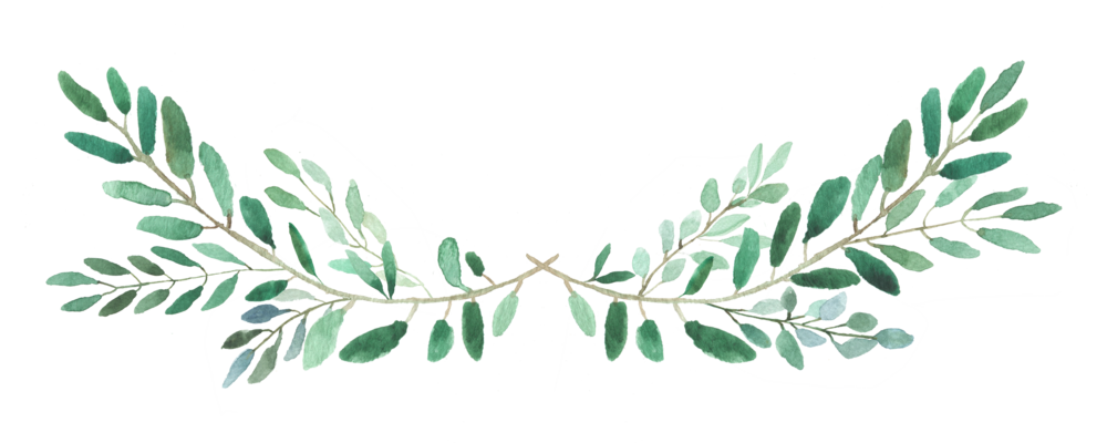 Youtube Video Instagram Transparent PNG Image