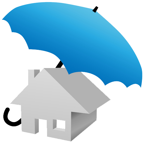 Insurance Transparent PNG Image