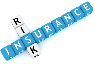 Insurance Transparent PNG Image