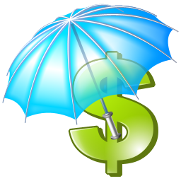 Insurance Transparent PNG Image