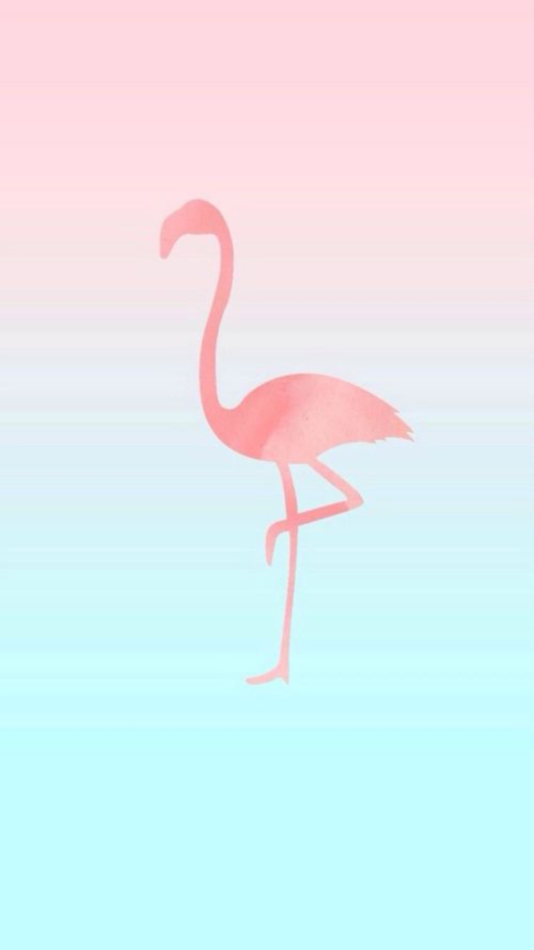 Flamingo Flamingos Iphone Wallpaper Desktop Transparent PNG Image