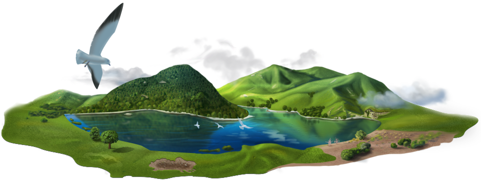 Island Transparent PNG Image