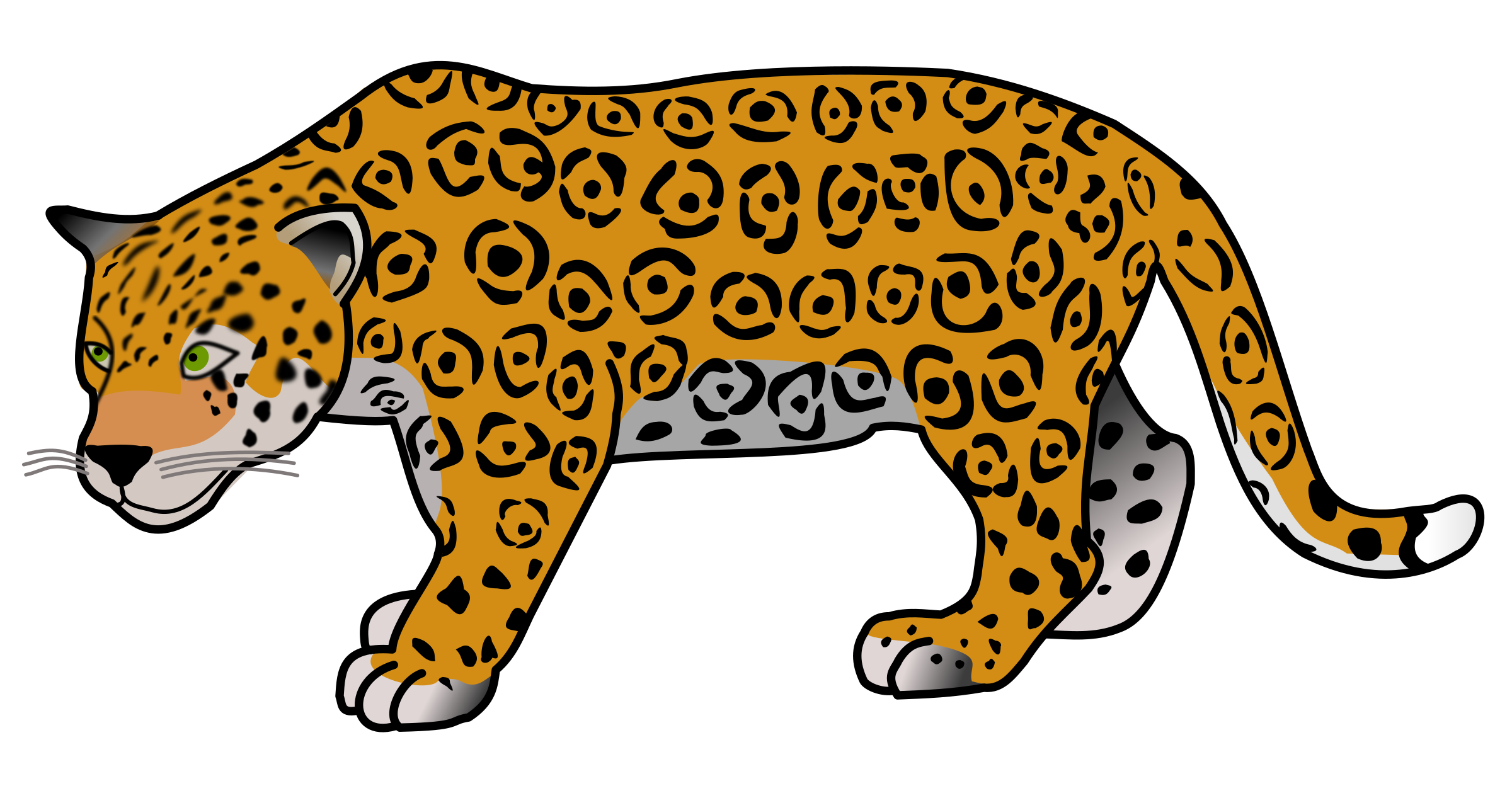 Jaguar Frame Transparent PNG Image