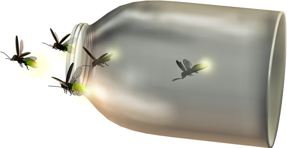 Winged Insect Bottle Membrane Transparent PNG Image