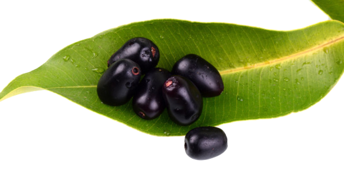 Jamun Java Plum Background Transparent PNG Image