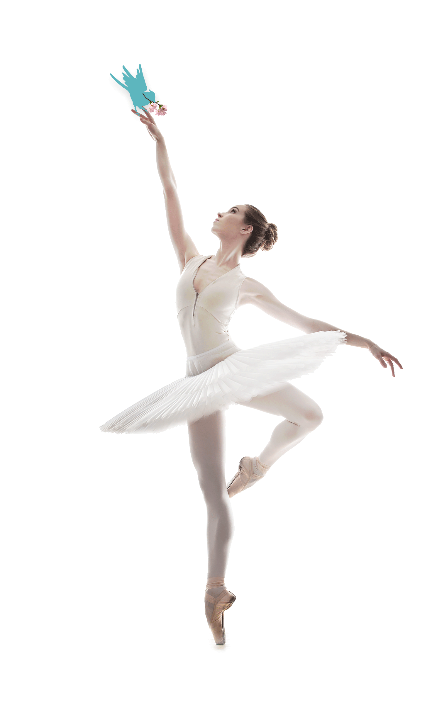 Ballet Dancer Transparent PNG Image