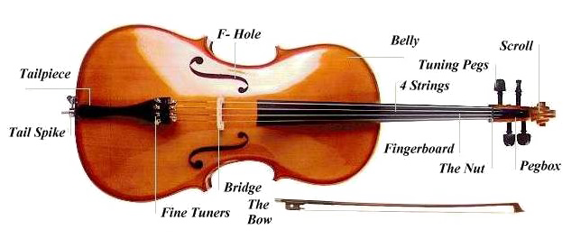 Cello Transparent PNG Image