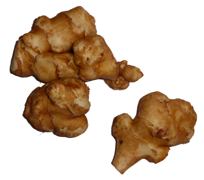 Jerusalem Artichokes Transparent PNG Image