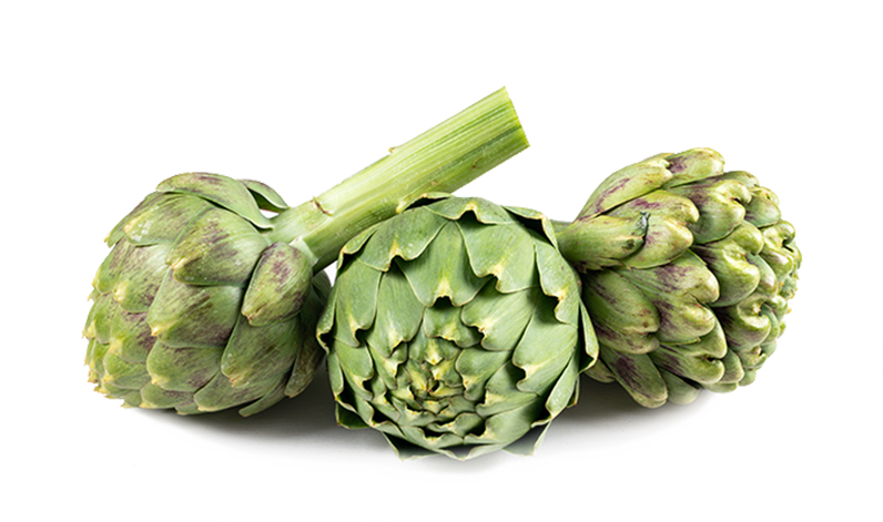 Single Artichoke File Transparent PNG Image