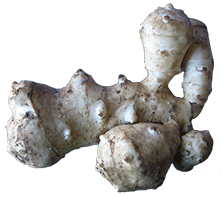 Jerusalem Artichokes Transparent PNG Image