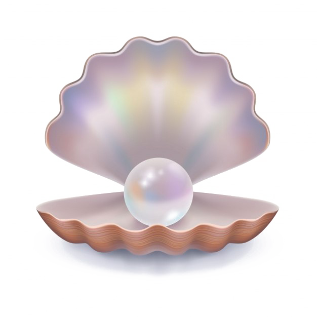Pearl Transparent PNG Image