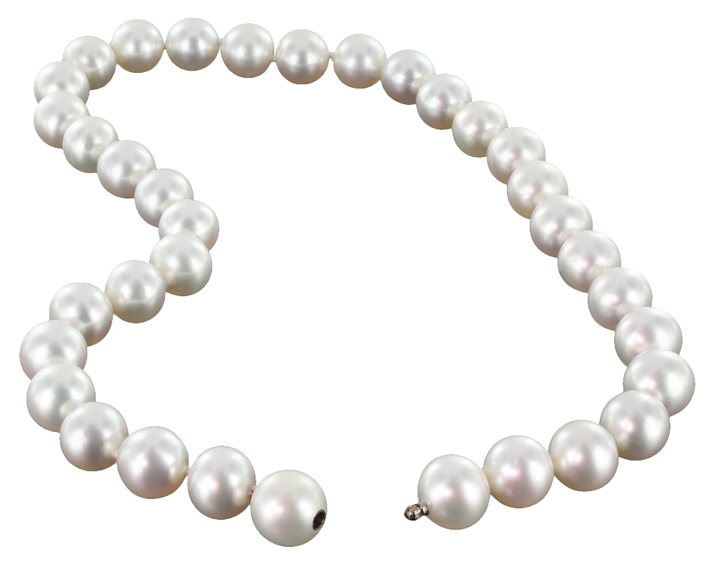 Pearl Transparent PNG Image
