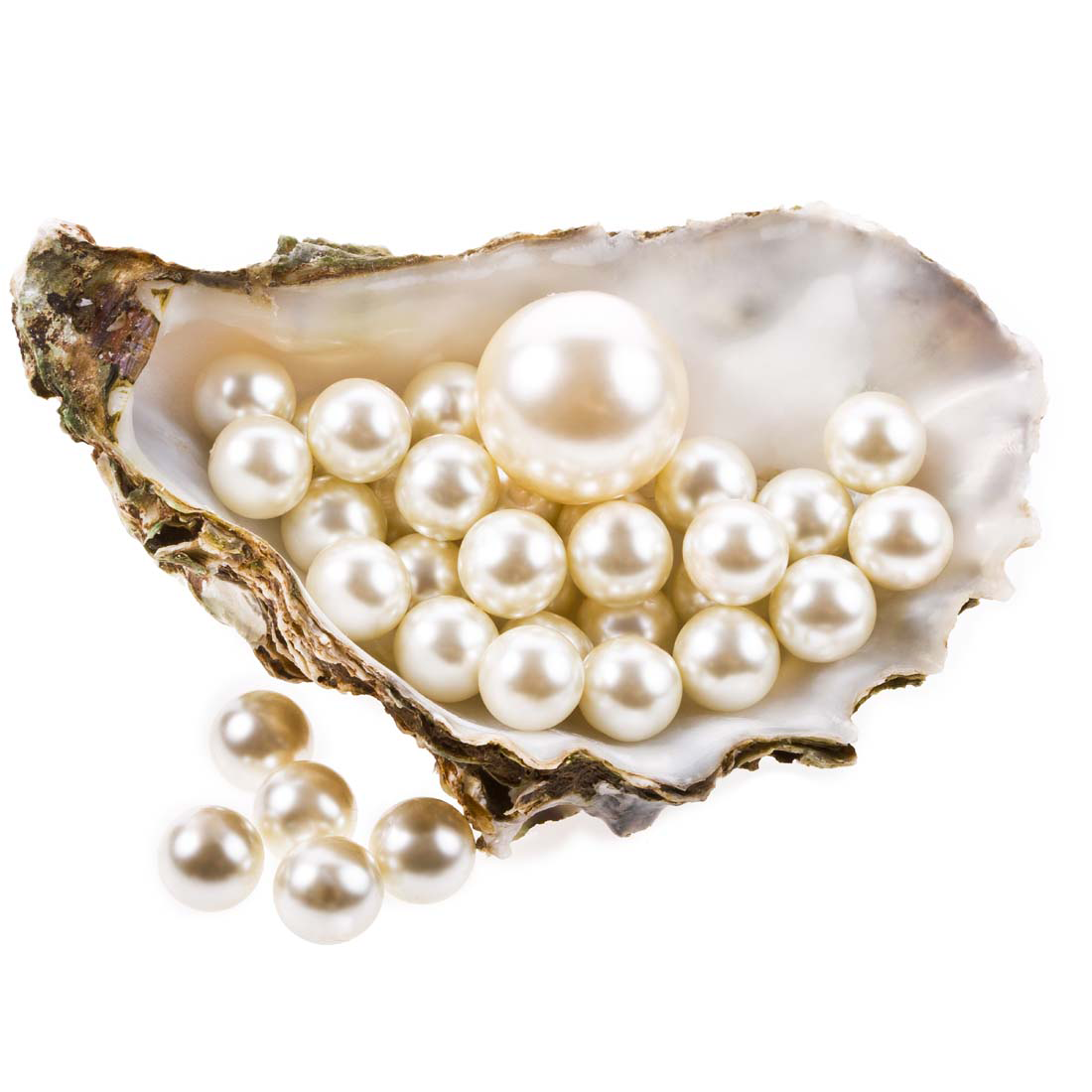 Pearl Transparent PNG Image