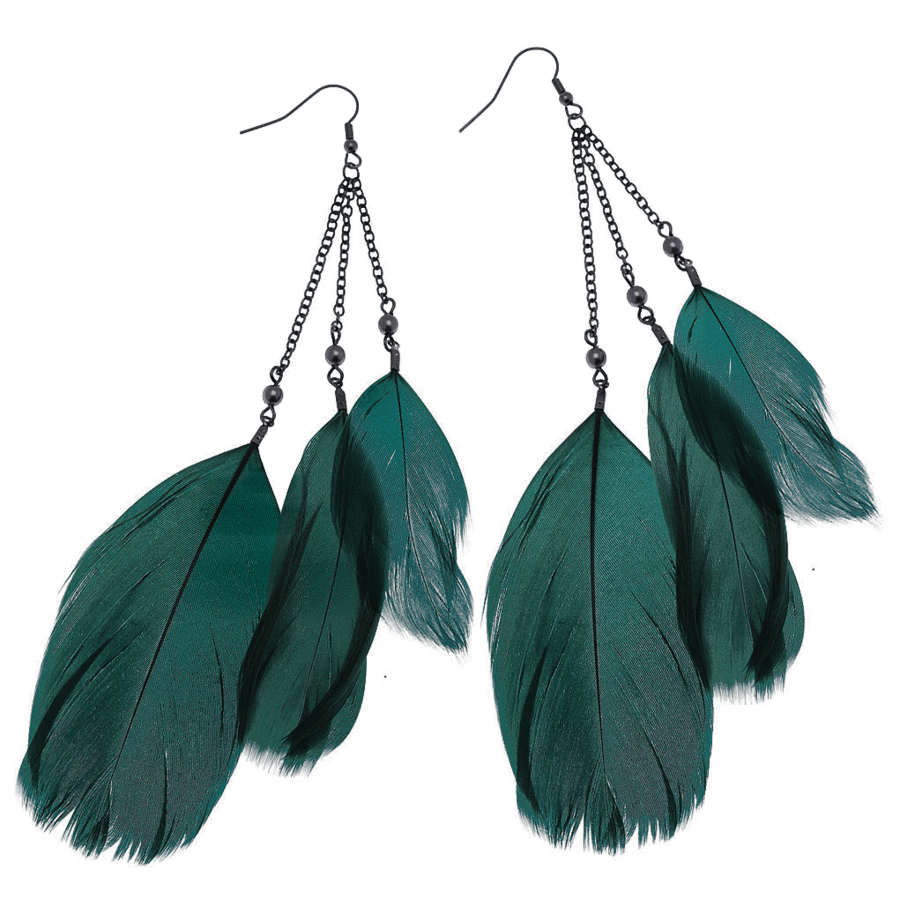 Feather Earrings Transparent PNG Image