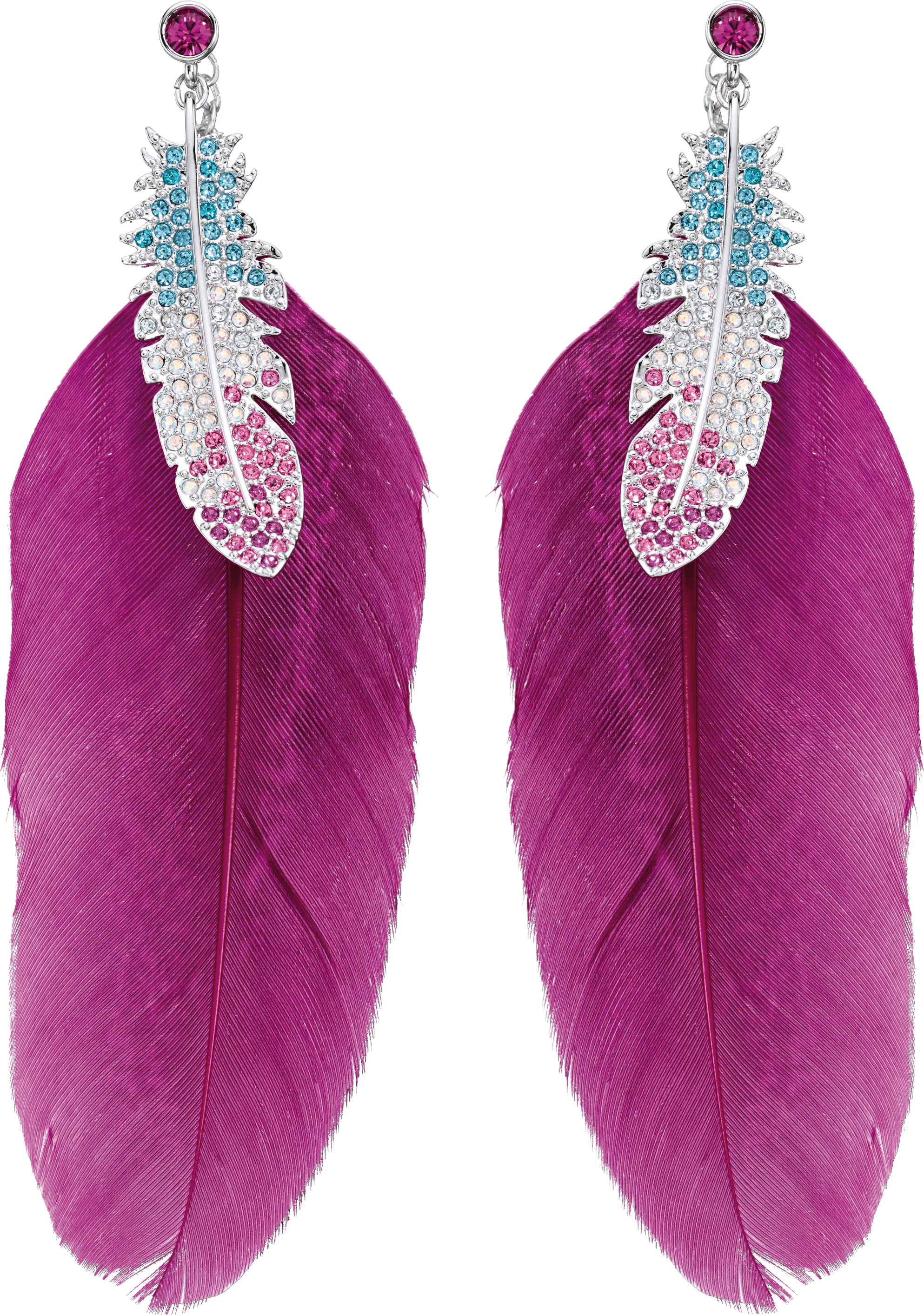Feather Earrings Transparent PNG Image