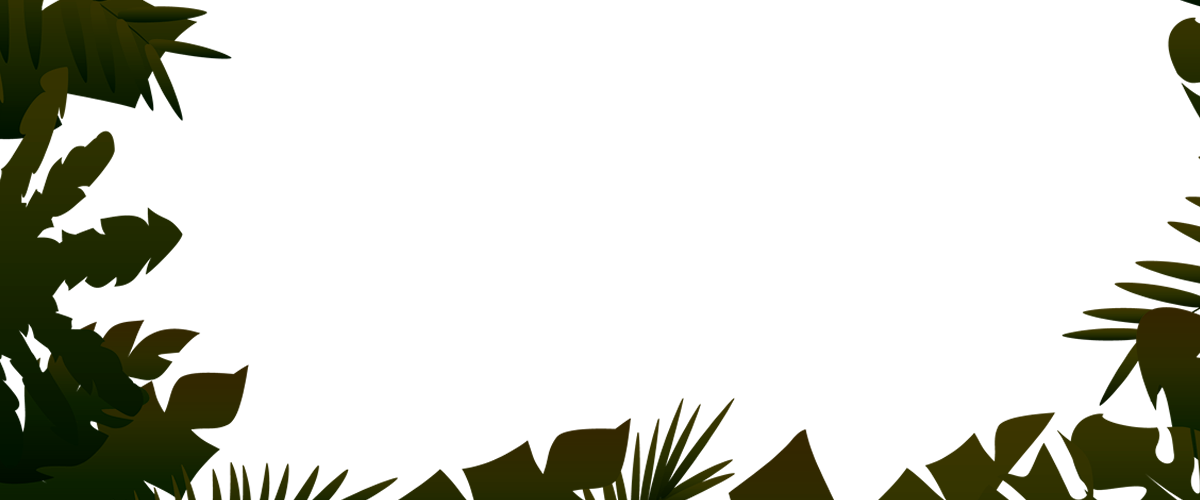 Jungle Transparent PNG Image
