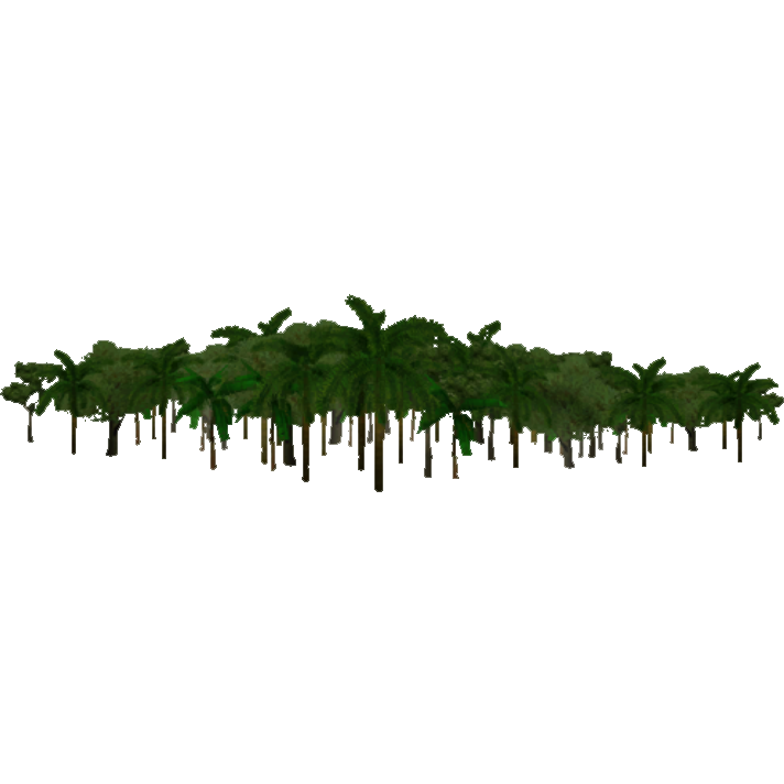 Jungle Background Transparent PNG Image