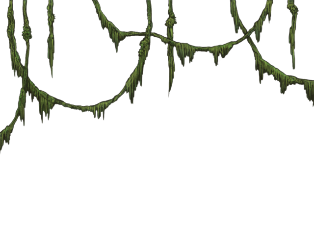 Jungle Transparent PNG Image