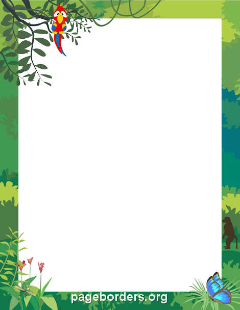 Jungle Border Transparent PNG Image