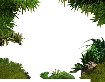 Jungle Border Transparent PNG Image