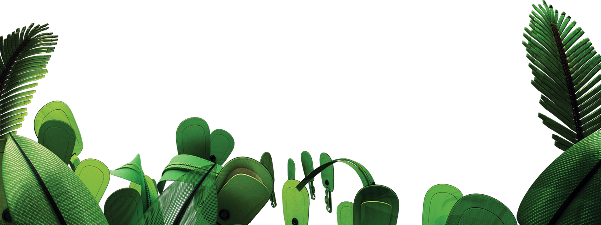 Jungle Transparent PNG Image