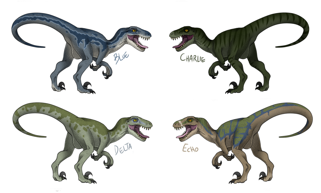 Velociraptor Dinosaur Fauna Owen Drawing Transparent PNG Image