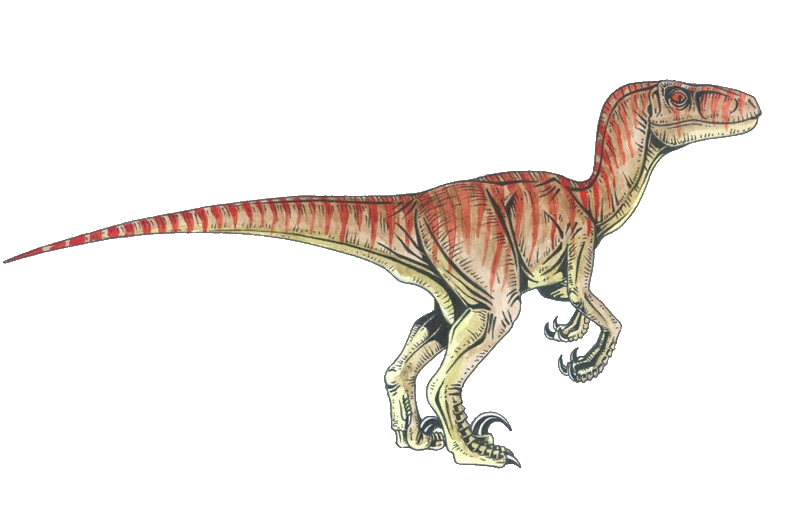 Velociraptor Tyrannosaurus Deinonychus Dinosaur Transparent PNG Image