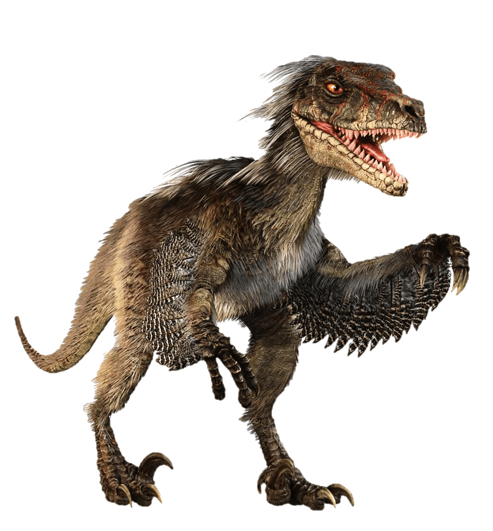 Velociraptor Dinosaur Tyrannosaurus Transparent PNG Image