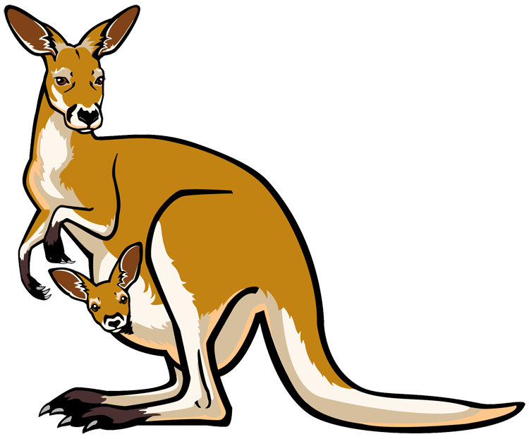 Kangaroo Joey Transparent PNG Image
