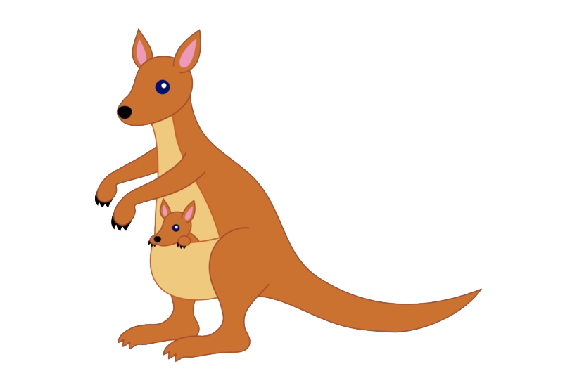 Kangaroo Joey Transparent PNG Image