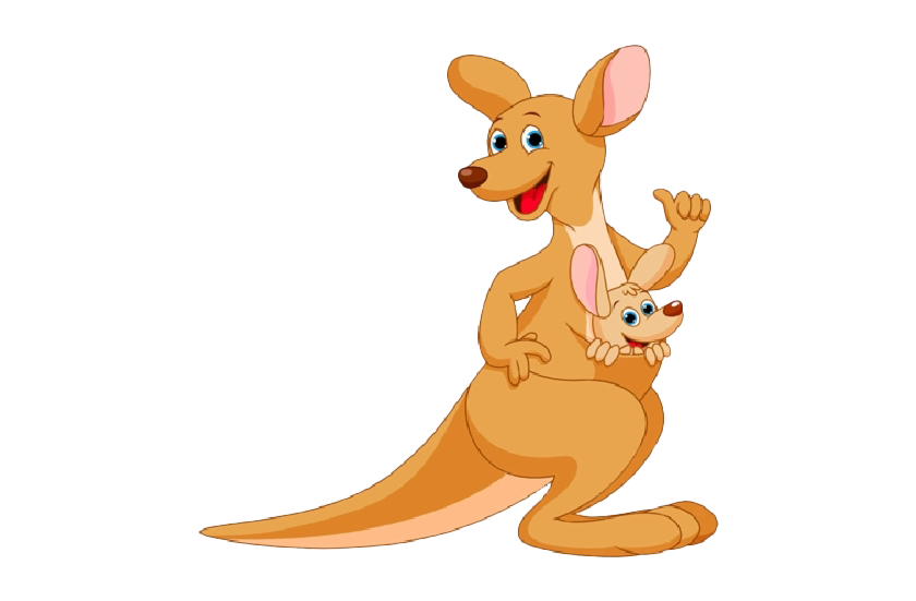 Kangaroo Joey Transparent PNG Image