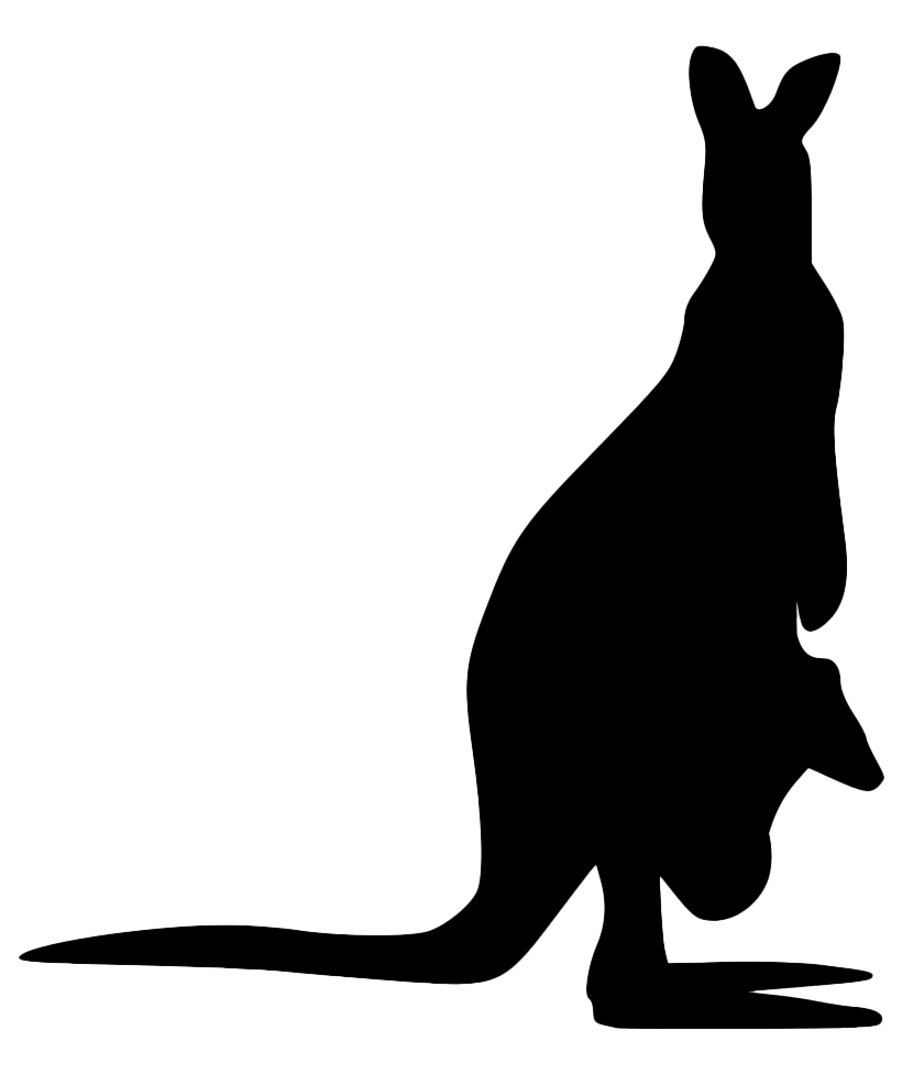 Kangaroo Joey Transparent PNG Image