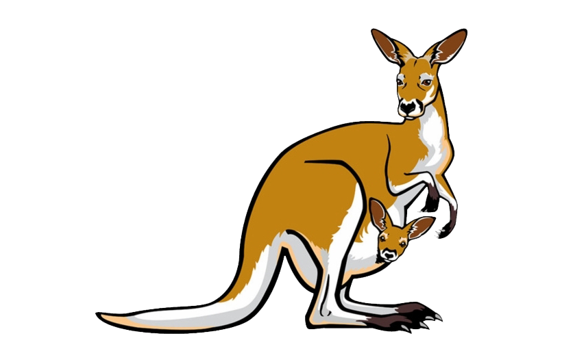 Kangaroo Joey Transparent PNG Image