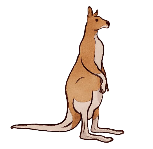 Wallaby Kangaroo Transparent PNG Image