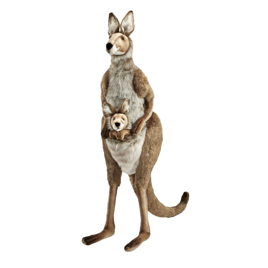 Wallaby Kangaroo Transparent PNG Image