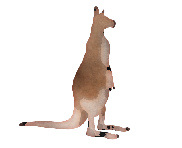 Wallaby Kangaroo Transparent PNG Image