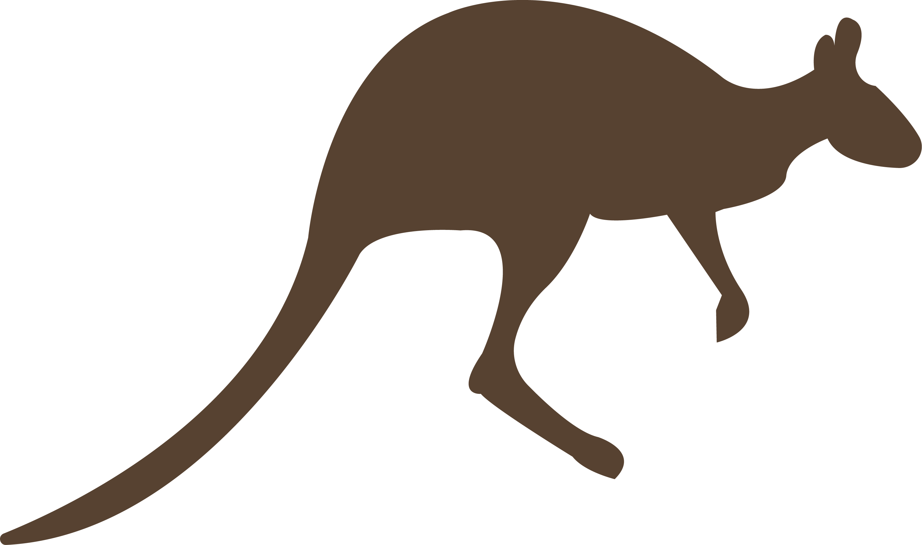 Kangaroo Transparent PNG Image