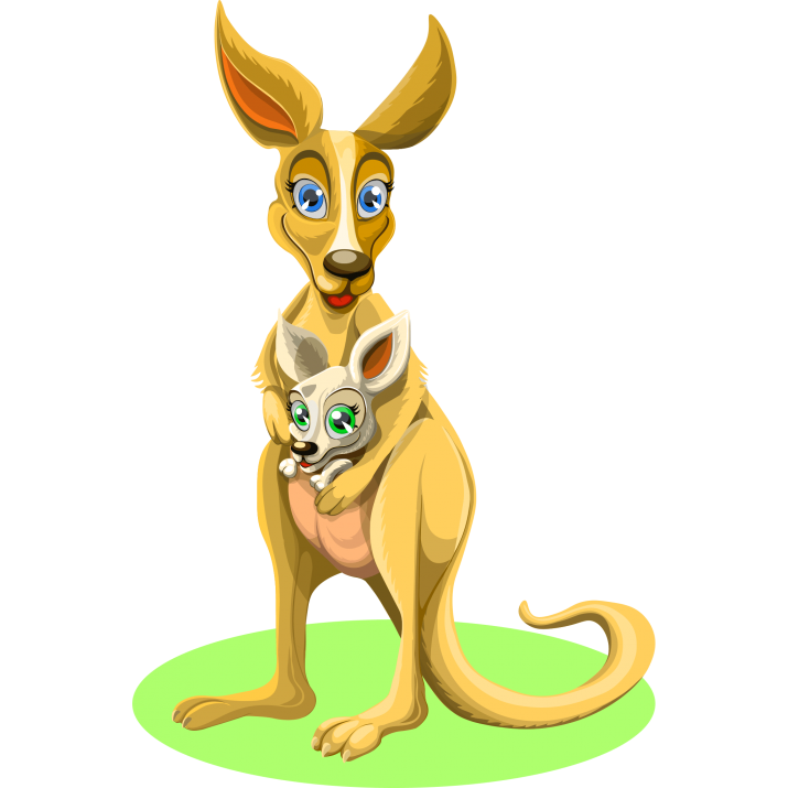 Kangaroo Transparent PNG Image