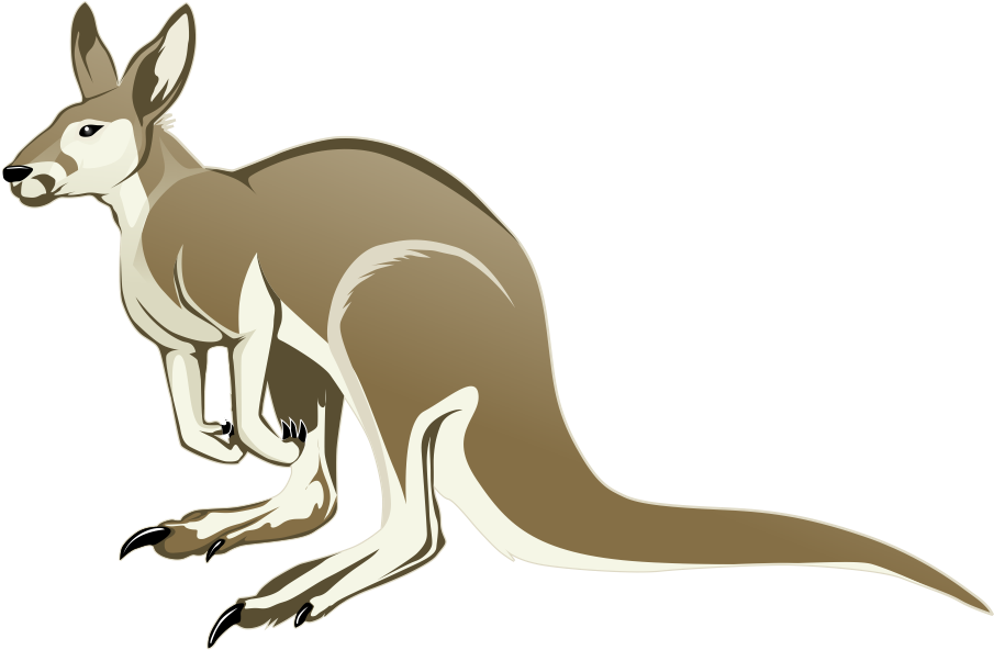 Kangaroo Vector Transparent PNG Image