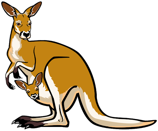 Kangaroo Vector Transparent PNG Image