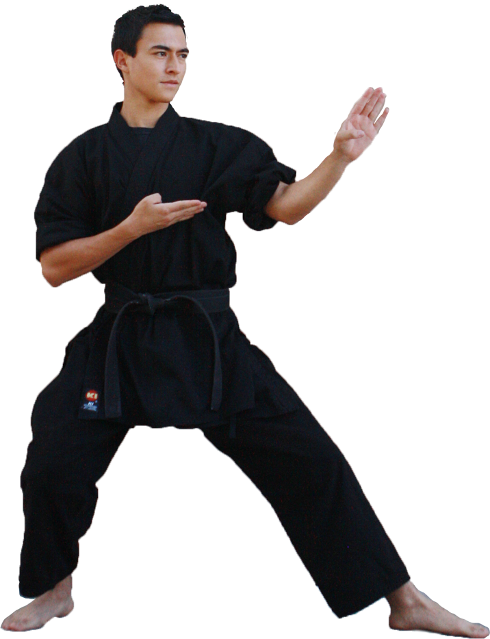 Fighter Karate Black Male Belt Transparent PNG Image