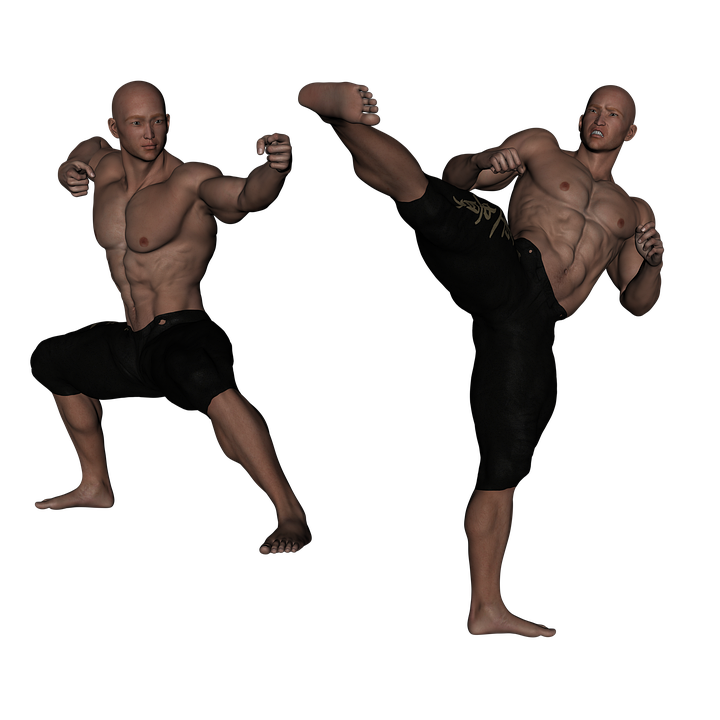 Karate Fighter Male Judo Transparent PNG Image