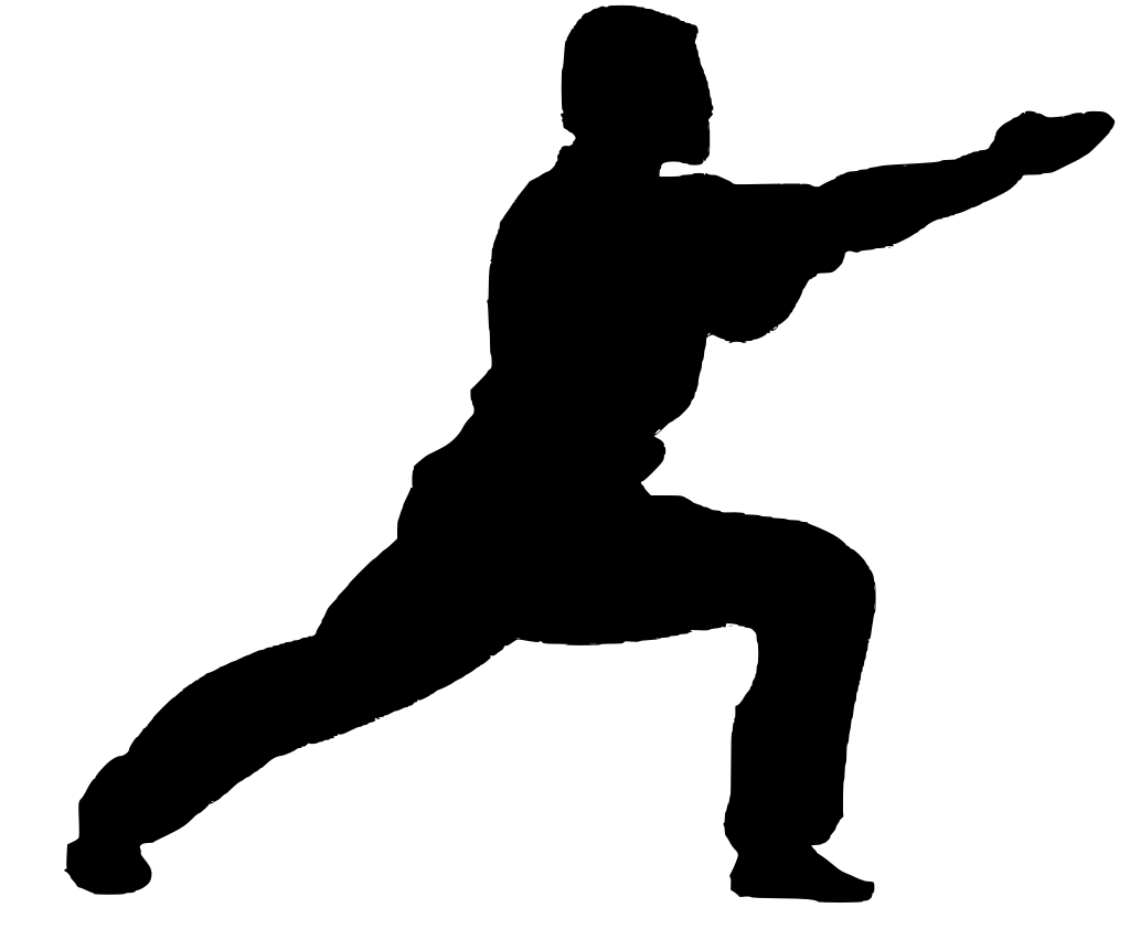 Karate Male Fighter File Transparent PNG Image