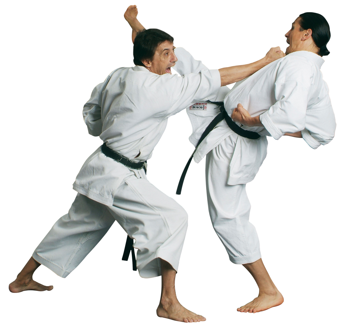Karate Martial Male Fighter Transparent PNG Image